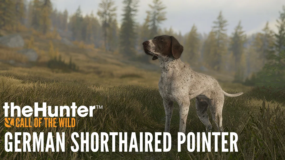 theHunter: Call of the Wild - German Shorthaired Pointer artwork