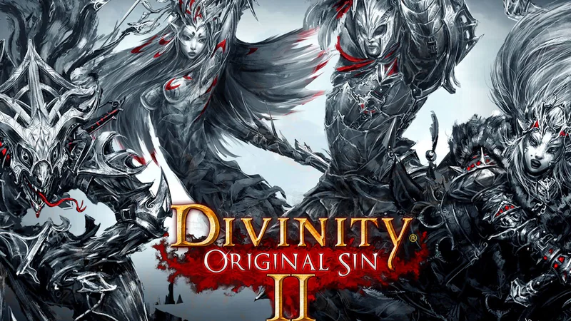 Divinity: Original Sin 2 screenshot 3