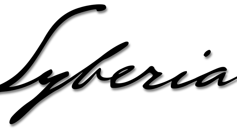 Syberia screenshot 3