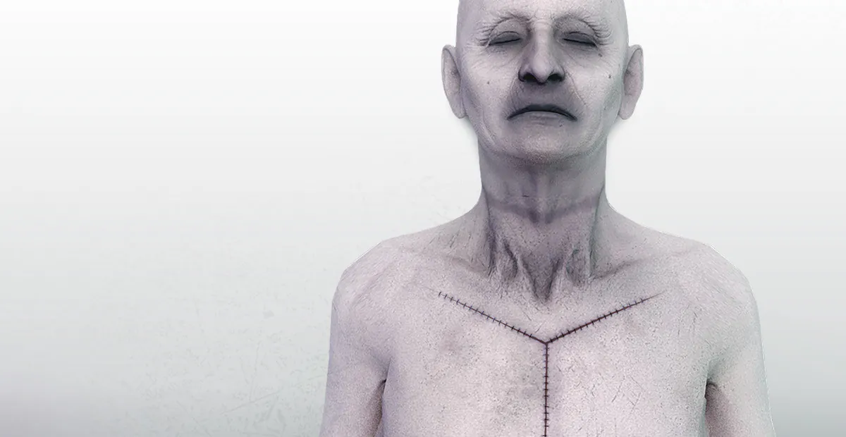Autopsy Simulator: artwork