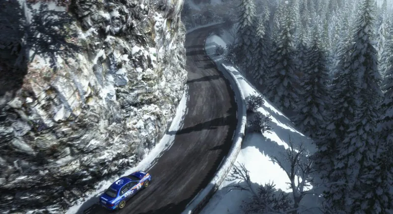 DiRT Rally screenshot 3