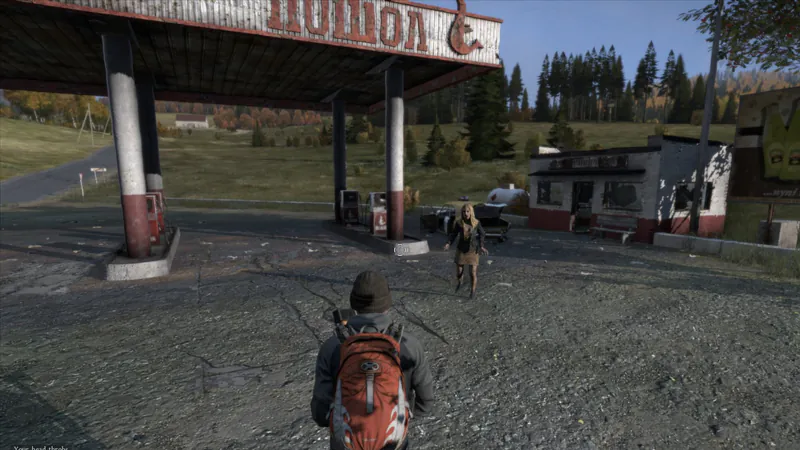 DayZ screenshot 5