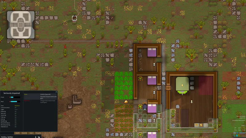 RimWorld screenshot 2