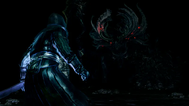 Dark Souls: Prepare To Die Edition screenshot 5