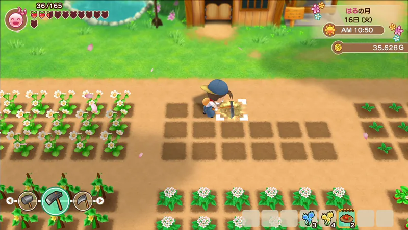 Story of Seasons: Friends of Mineral Town screenshot 5