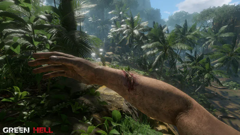 Green Hell screenshot 5