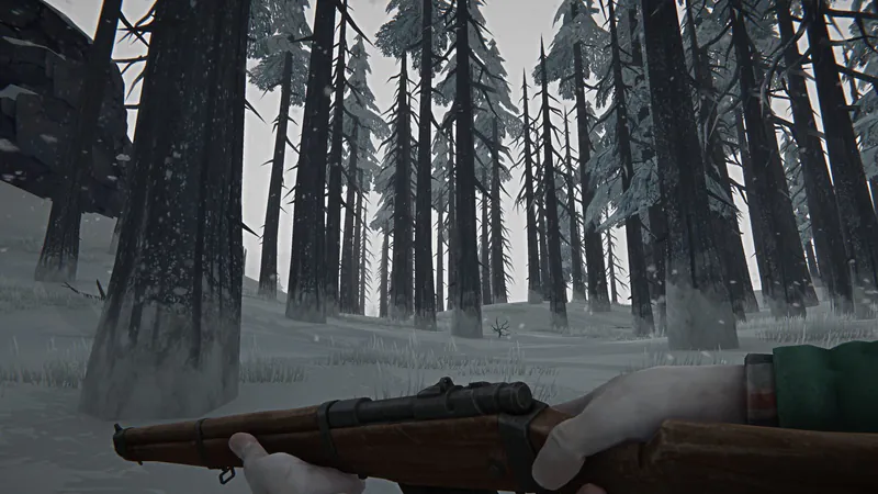 The Long Dark screenshot 3