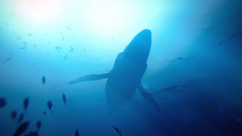 Under The Waves screenshot 2
