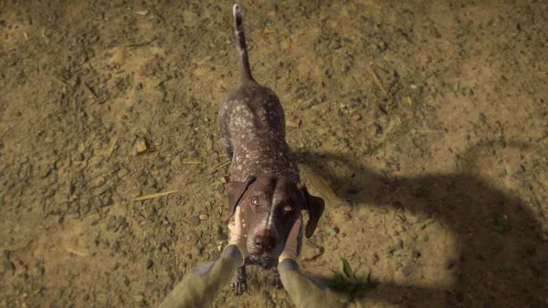 theHunter: Call of the Wild - German Shorthaired Pointer screenshot 2
