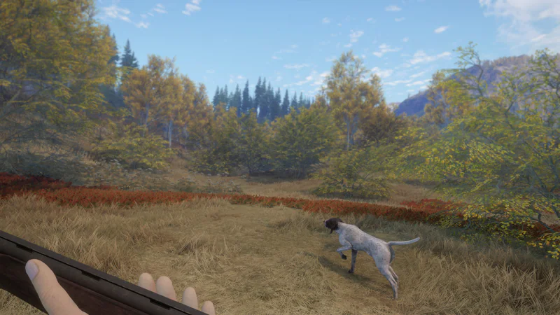 theHunter: Call of the Wild - German Shorthaired Pointer screenshot 4