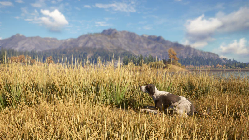theHunter: Call of the Wild - German Shorthaired Pointer screenshot 5