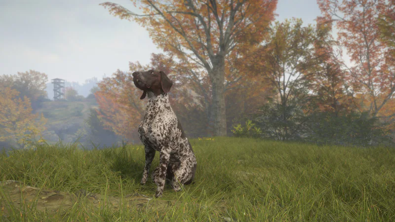 theHunter: Call of the Wild - German Shorthaired Pointer screenshot 6