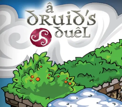 A Druid's Duel PC Steam CD Key cover