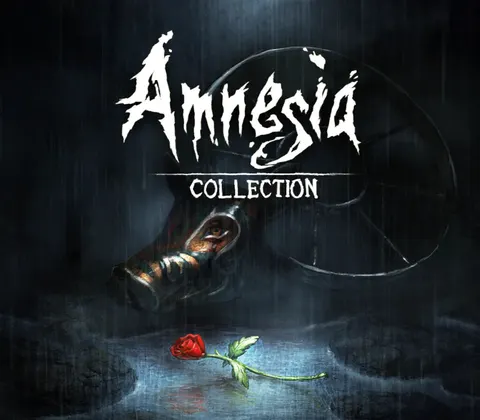 Amnesia Collection PC Steam CD Key cover
