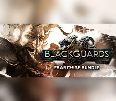 Blackguards Franchise Bundle EU PC Steam CD Key cover