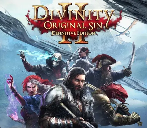 Divinity: Original Sin 2 Definitive Edition GOG CD Key cover