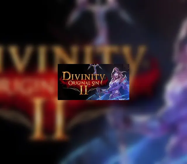 Divinity: Original Sin 2