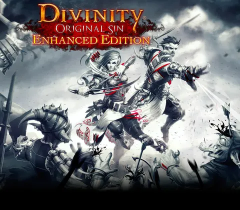 Divinity: Original Sin Enhanced Edition Steam Gift cover