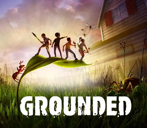 Grounded Nintendo Switch Access cover