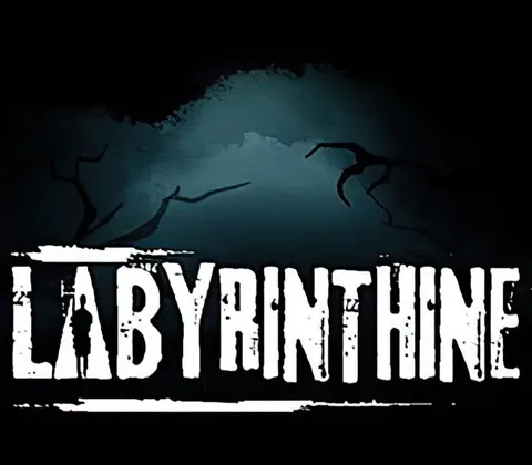Labyrinthine PC Steam CD Key cover