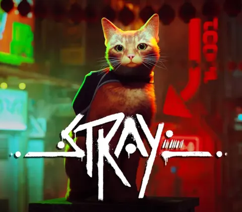 Stray PS5 Account cover