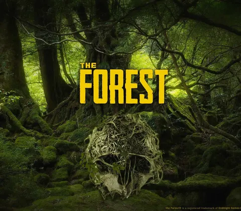 The Forest Steam Account cover