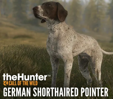 theHunter: Call of the Wild - German Shorthaired Pointer DLC PC Steam CD Key cover